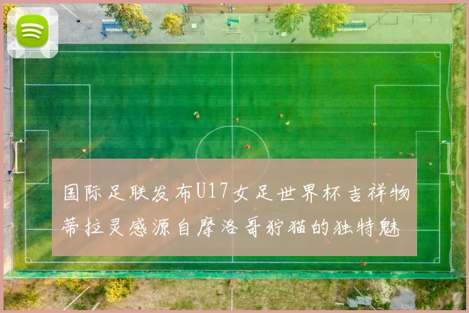 国际足联发布U17女足世界杯吉祥物蒂拉灵感源自摩洛哥狞猫的独特魅力