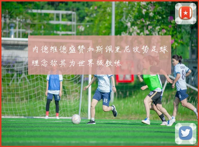 内德维德盛赞加斯佩里尼攻势足球理念称其为世界级教练